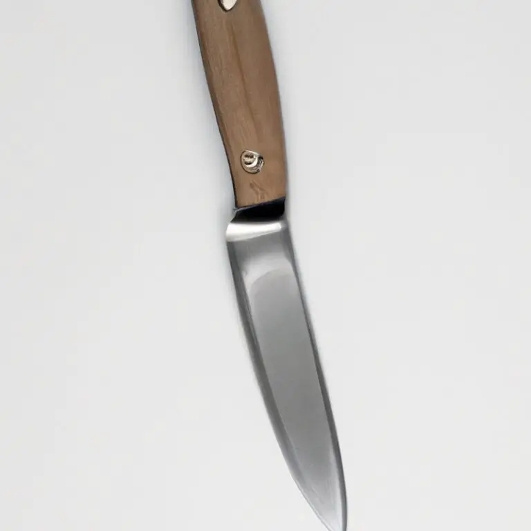 What Are The Main Features To Consider When Buying a Paring Knife? – Expert Tips